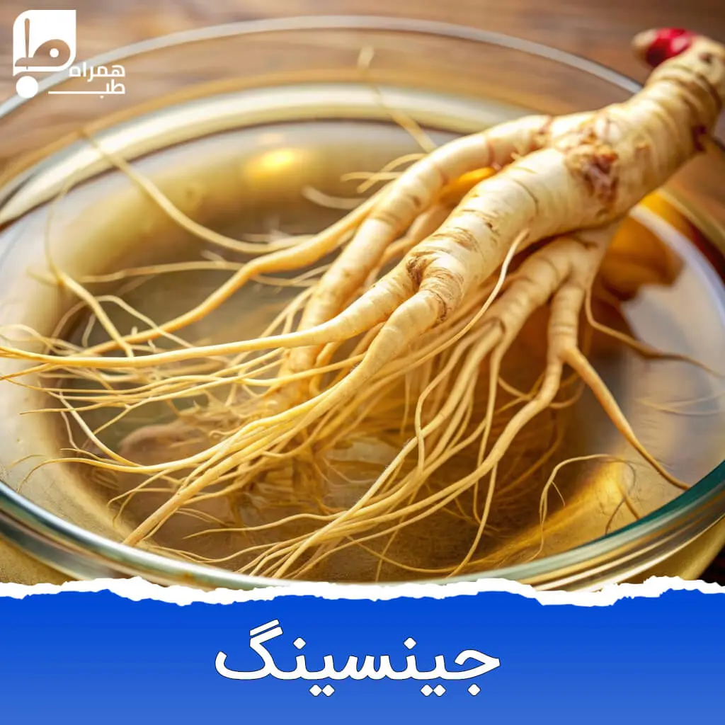 داروی گیاهی جینسینگ
